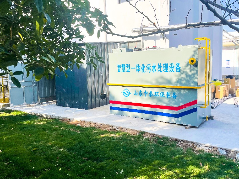 次氯酸鈉發生器在乳制品企業冰淇淋制作水消毒中的應用
